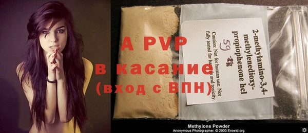 гашик Михайлов