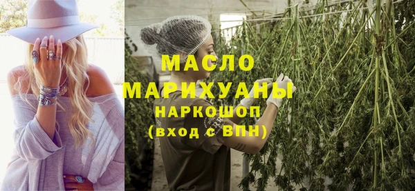гашик Михайлов