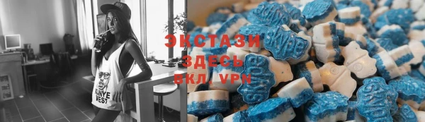 гашик Михайлов