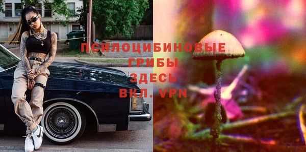 СК Медвежьегорск