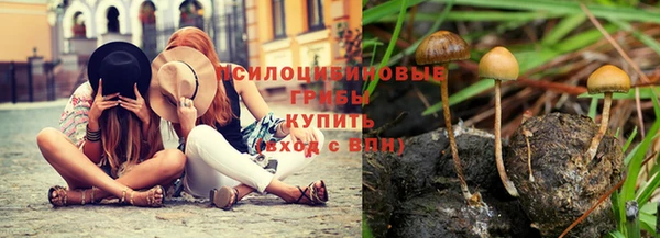 прущая мука Мегион