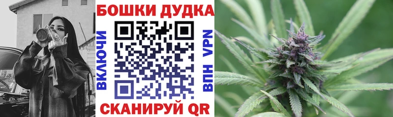 Конопля тримм  наркошоп  omg зеркало  Дно 